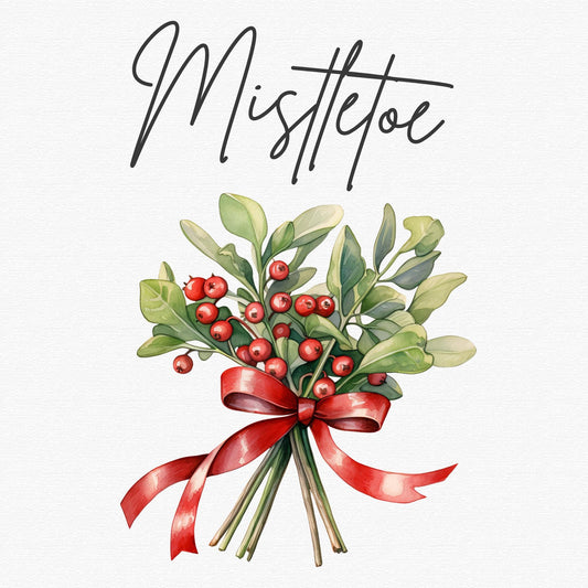 Watercolor Christmas Mistletoe Clipart Single
