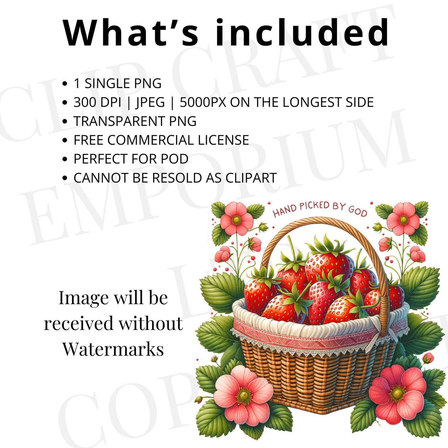 Handpicked by God PNG