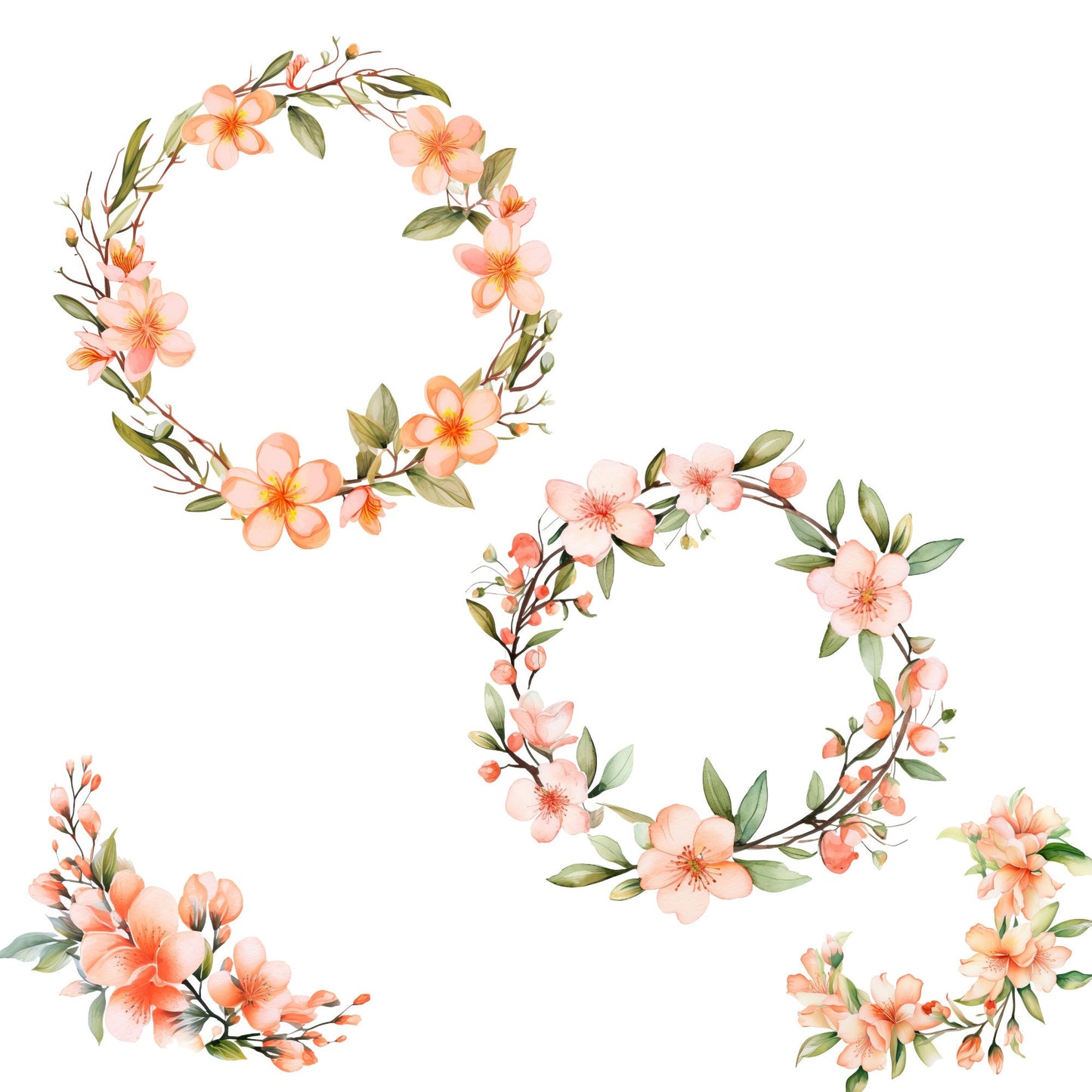 Clipart floral de melocotón en acuarela