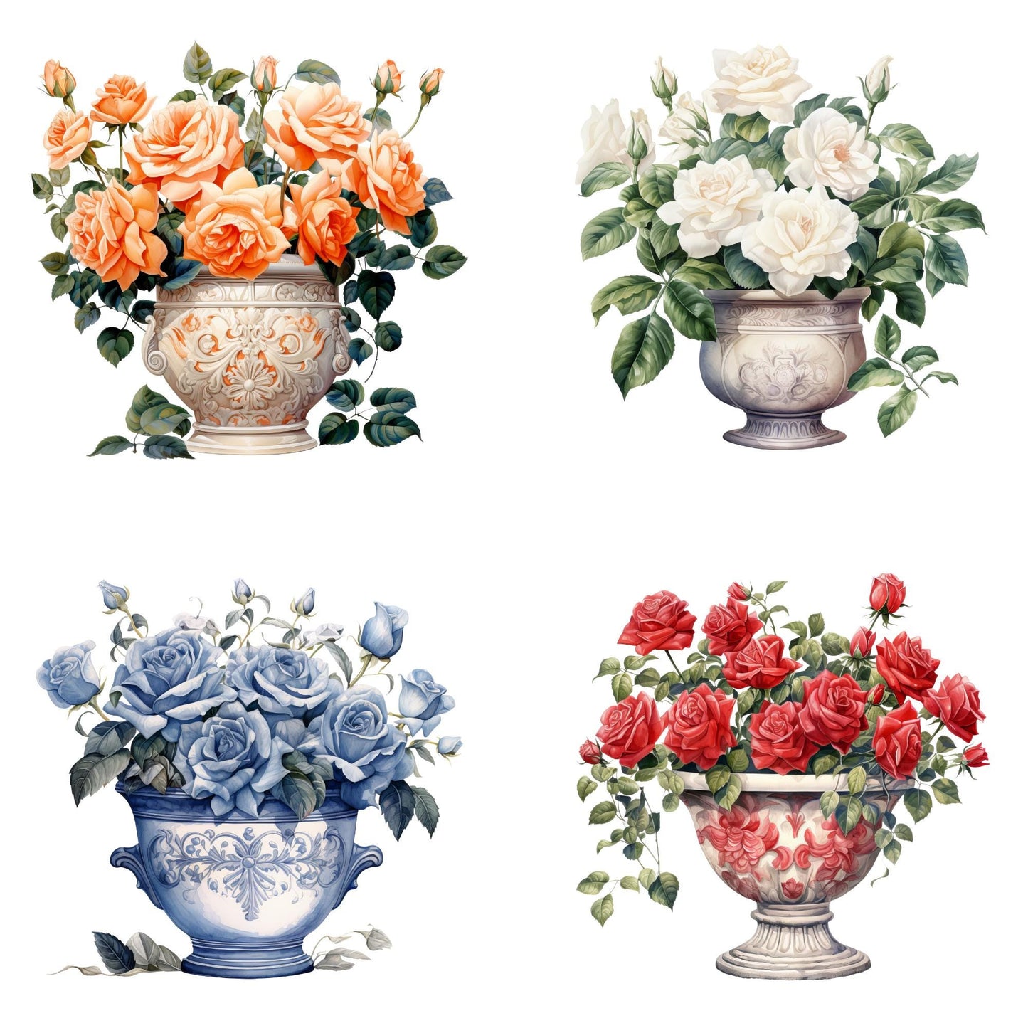 Watercolor Rose Bush Clipart