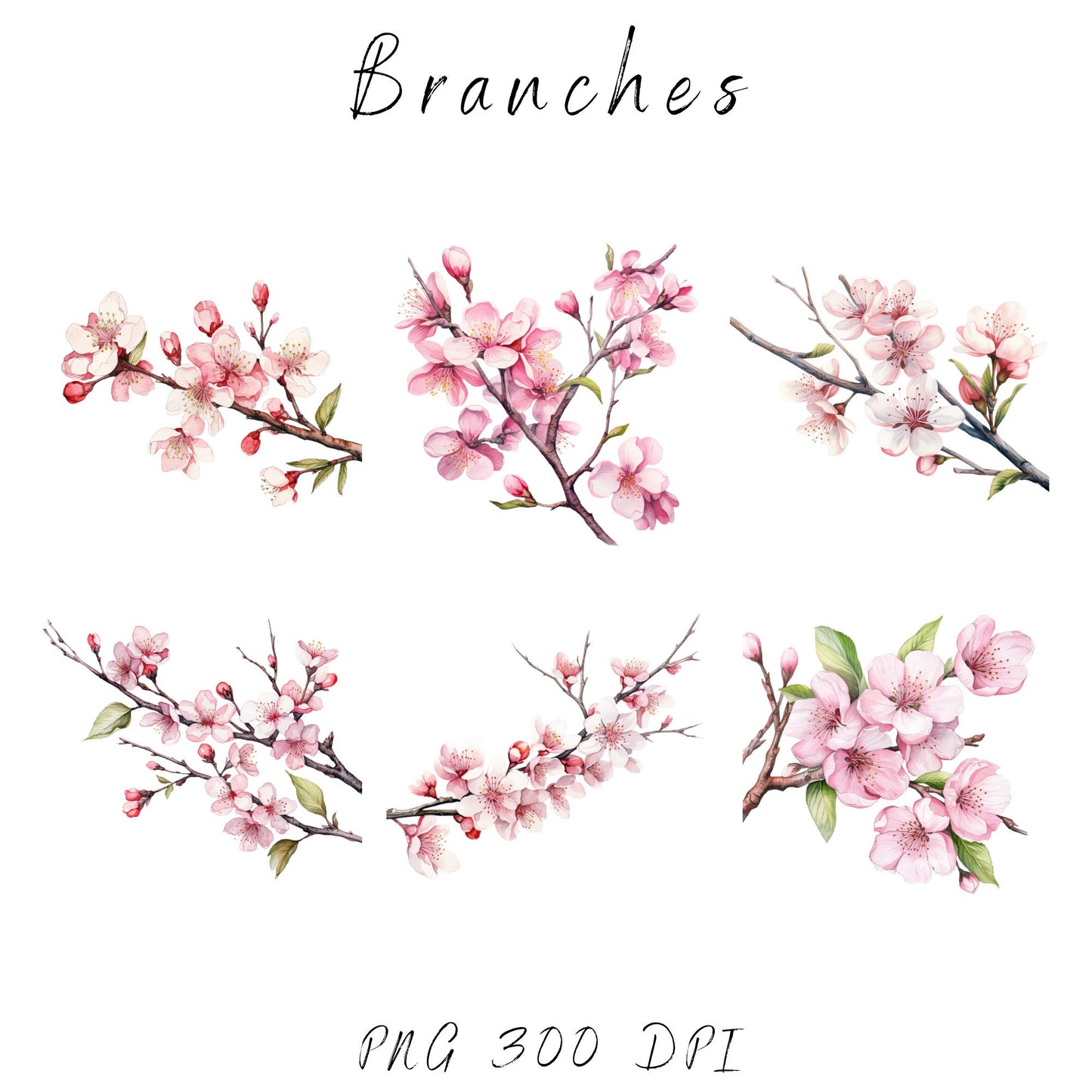 Watercolor Cherry Blossom tree clipart