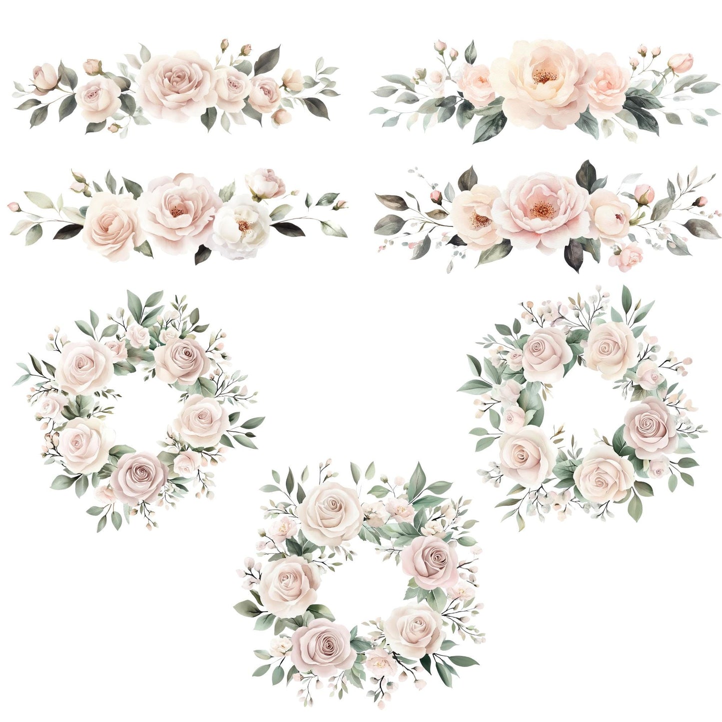 Clipart de rosa y peonía rosa polvorienta