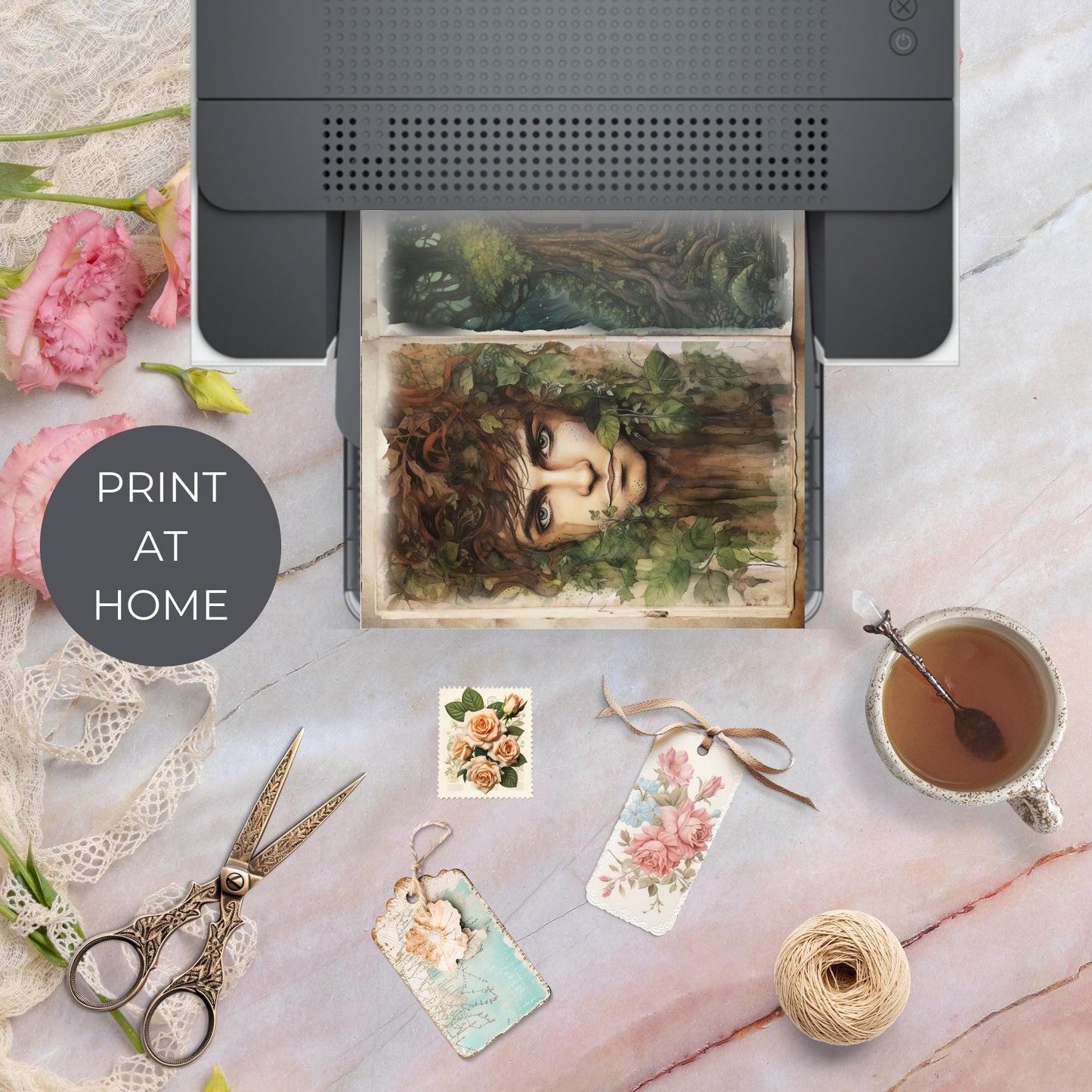 Páginas del diario basura de los elfos del bosque, vol. 2