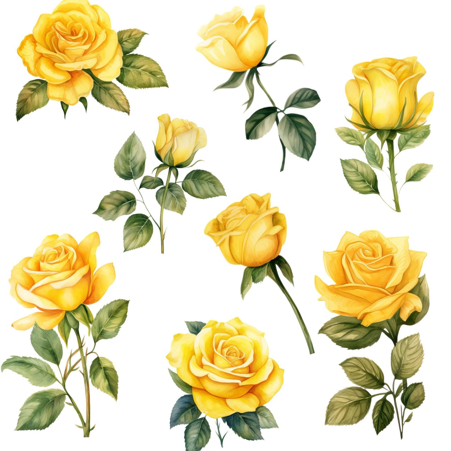 Clipart de rosas amarillas en acuarela