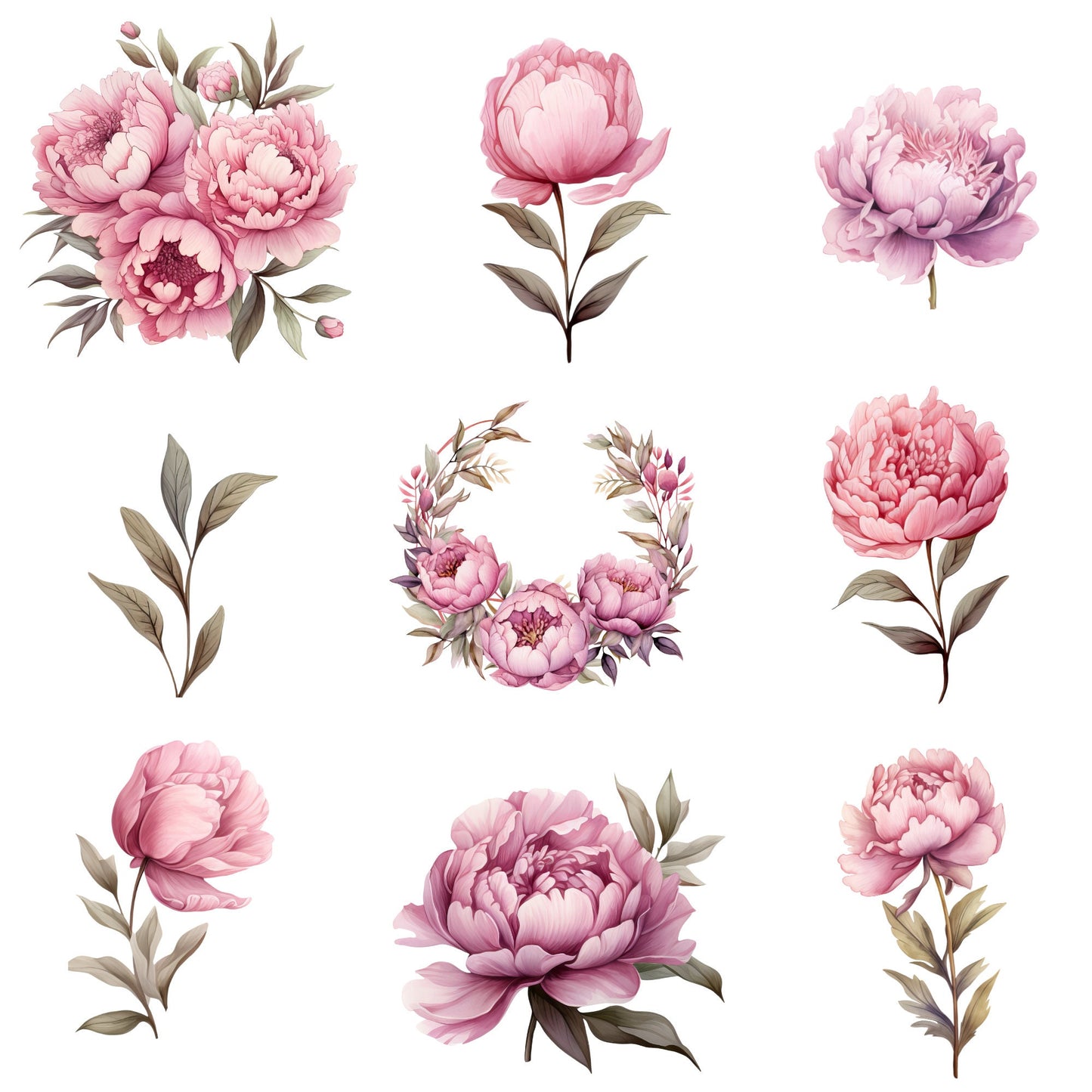 Watercolor Dusty Pink Peony Clipart