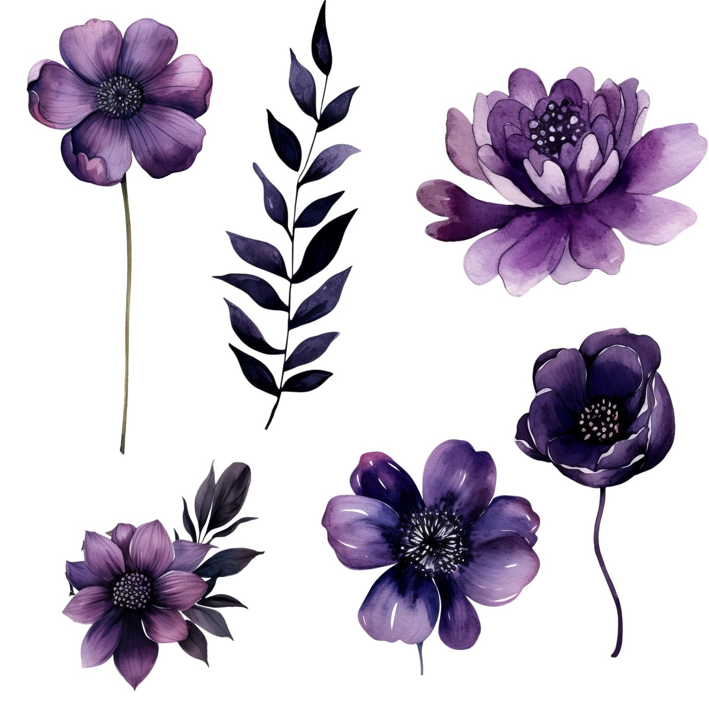Clipart de flores de color morado oscuro