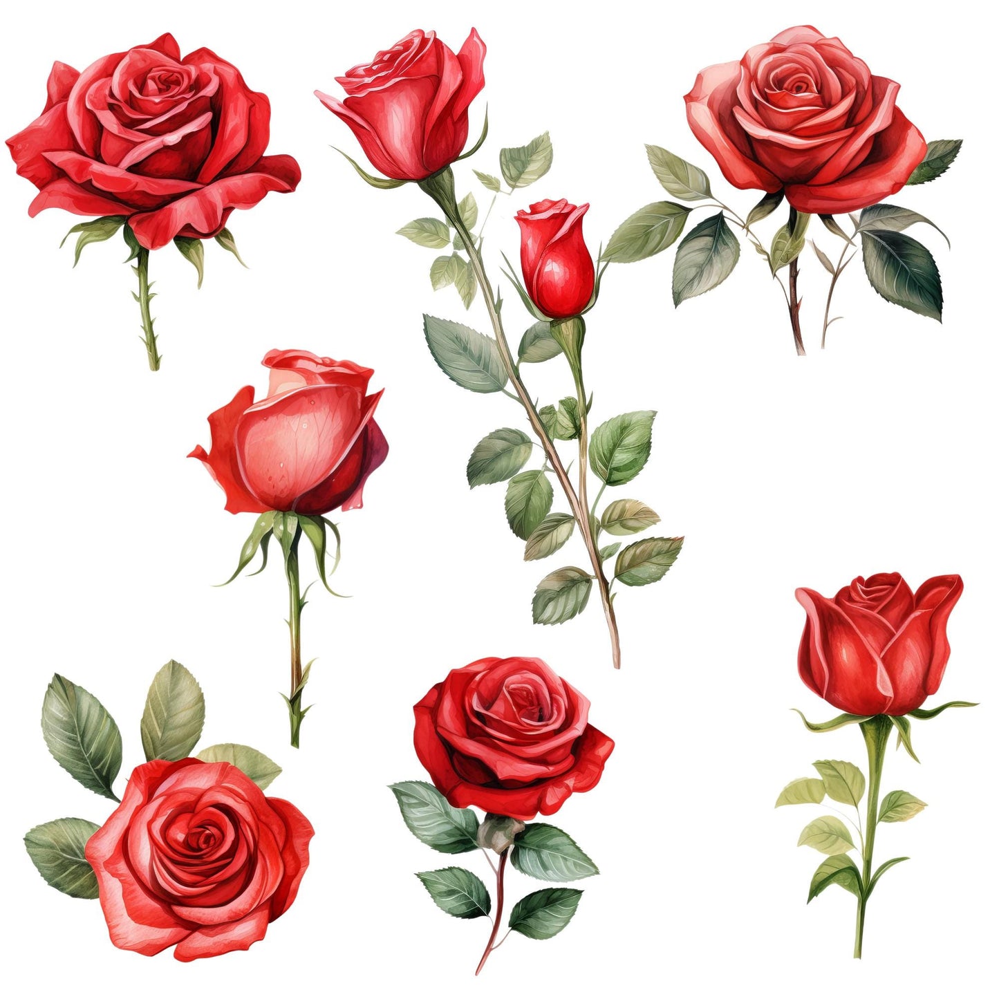 Red Roses Clipart