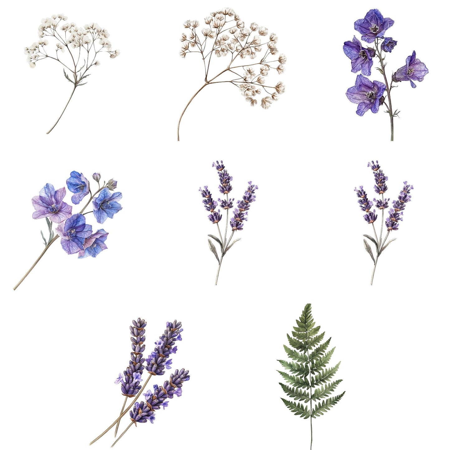 Clipart de flores secas de acuarela