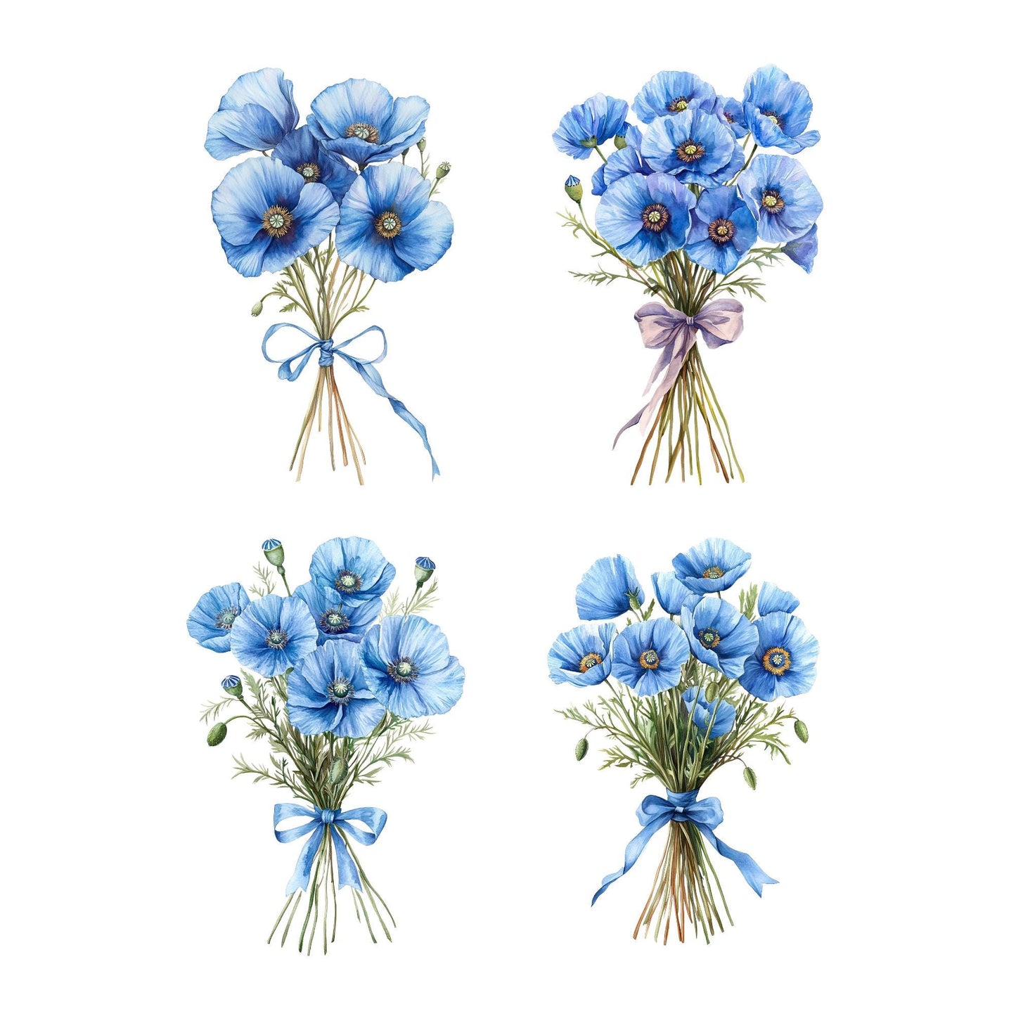 Clipart de amapola azul en acuarela