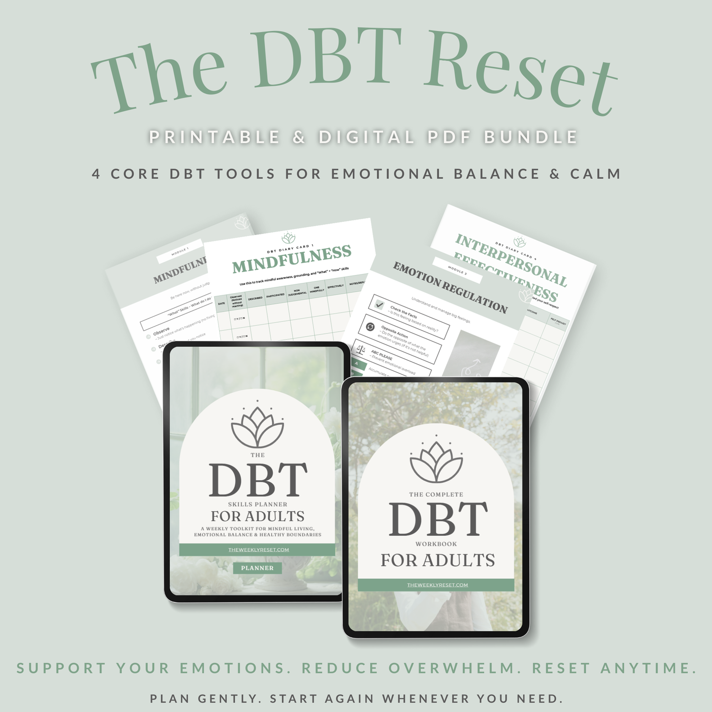 The DBT Reset