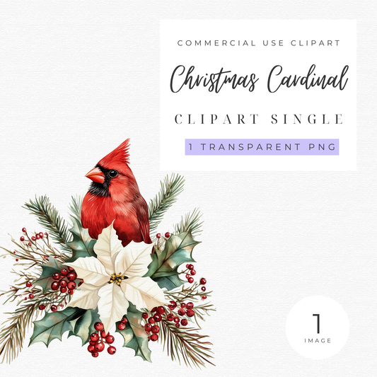 Christmas Cardinal Clipart PNG | Watercolor Red Bird