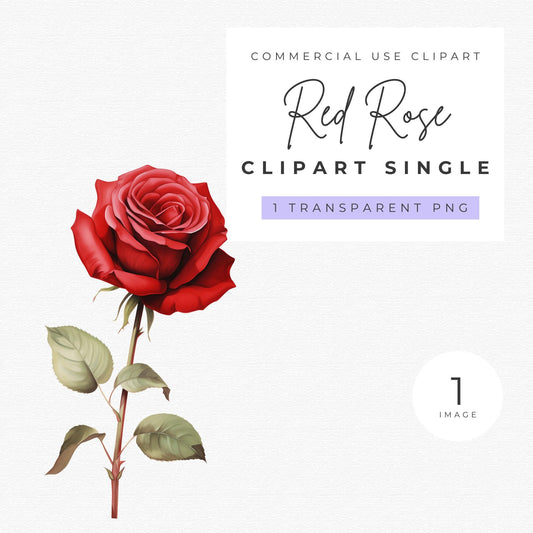 Clipart de rosa roja individual