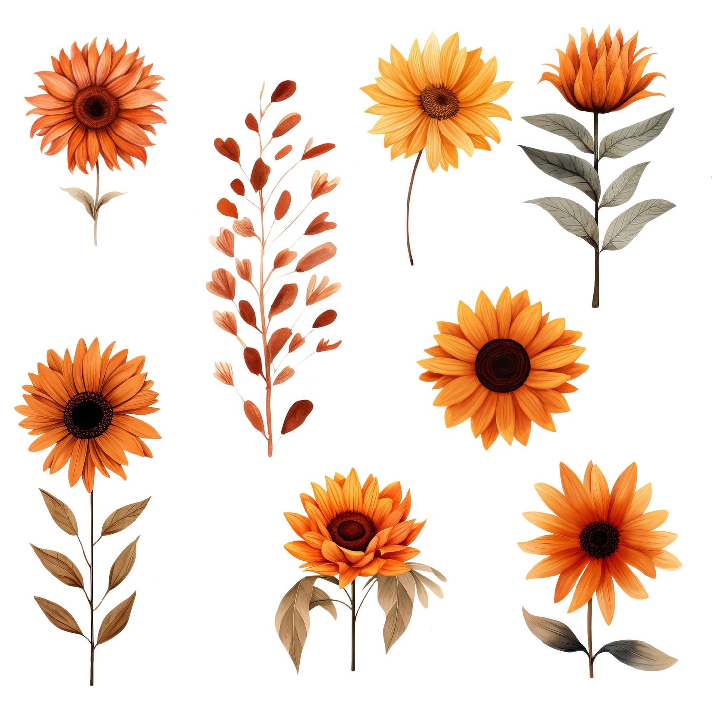 Clipart floral de terracota
