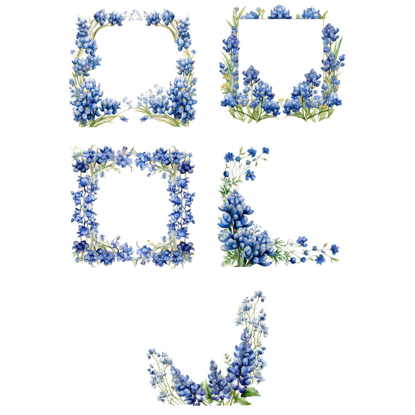 Clipart floral de Texas Bluebonnet en acuarela