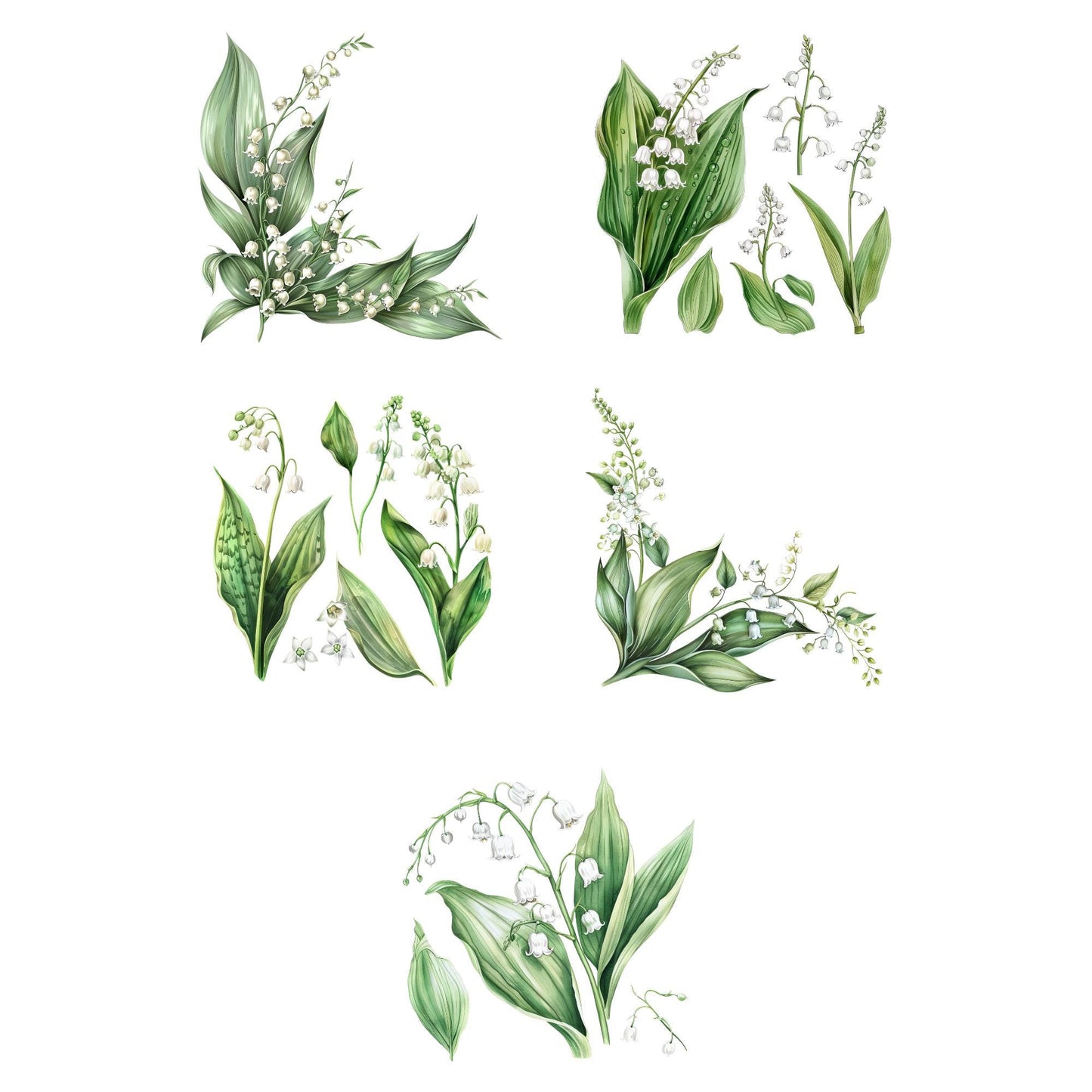 Watercolor Lily of the Valley Floral Clipart
