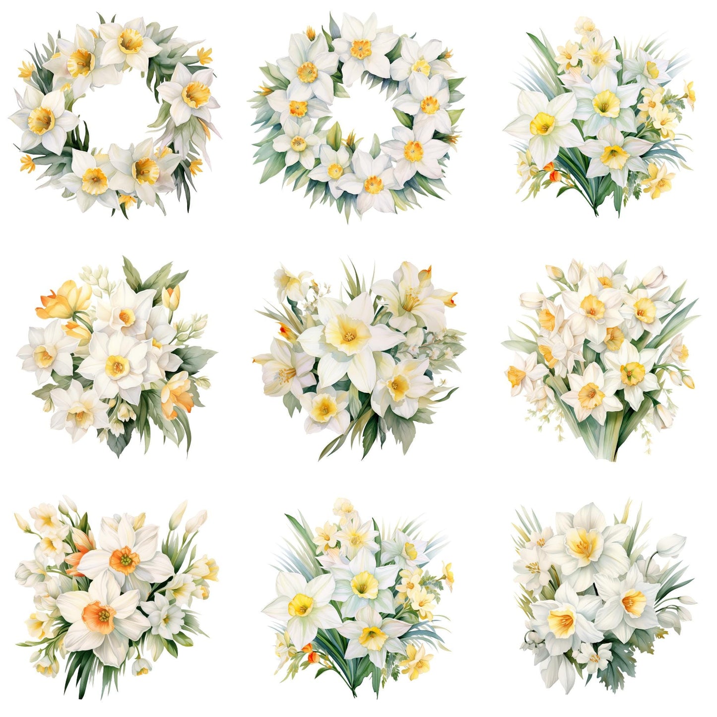 Clipart de narciso blanco