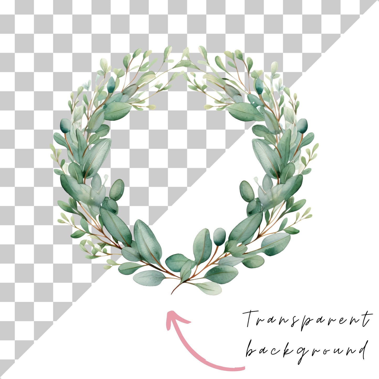 Clipart de hojas de eucalipto en acuarela