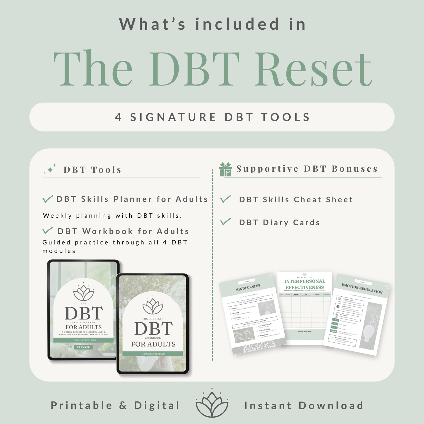 The DBT Reset