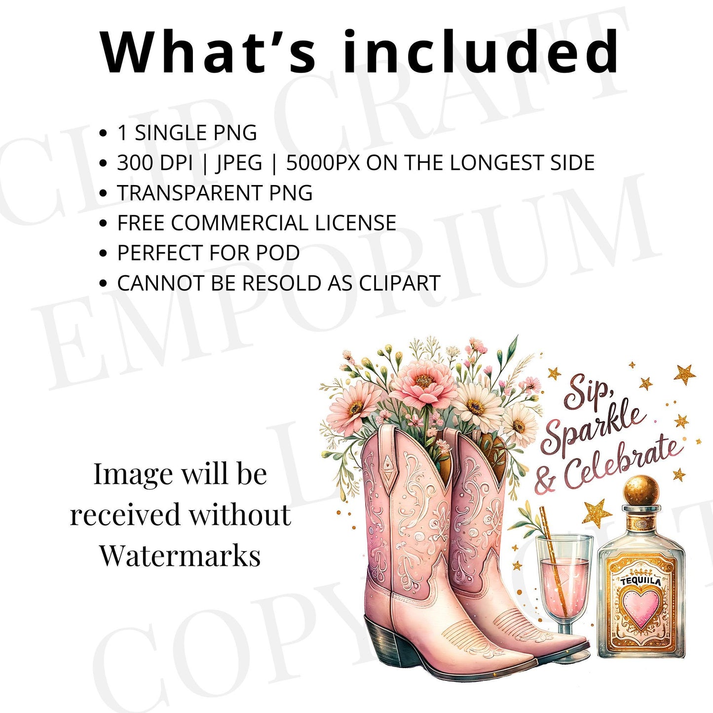 Nashville Birthday PNG