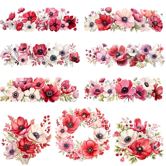 Clipart de anémona roja y rosa