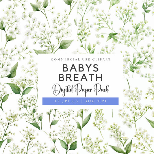 Babys breath digital paper