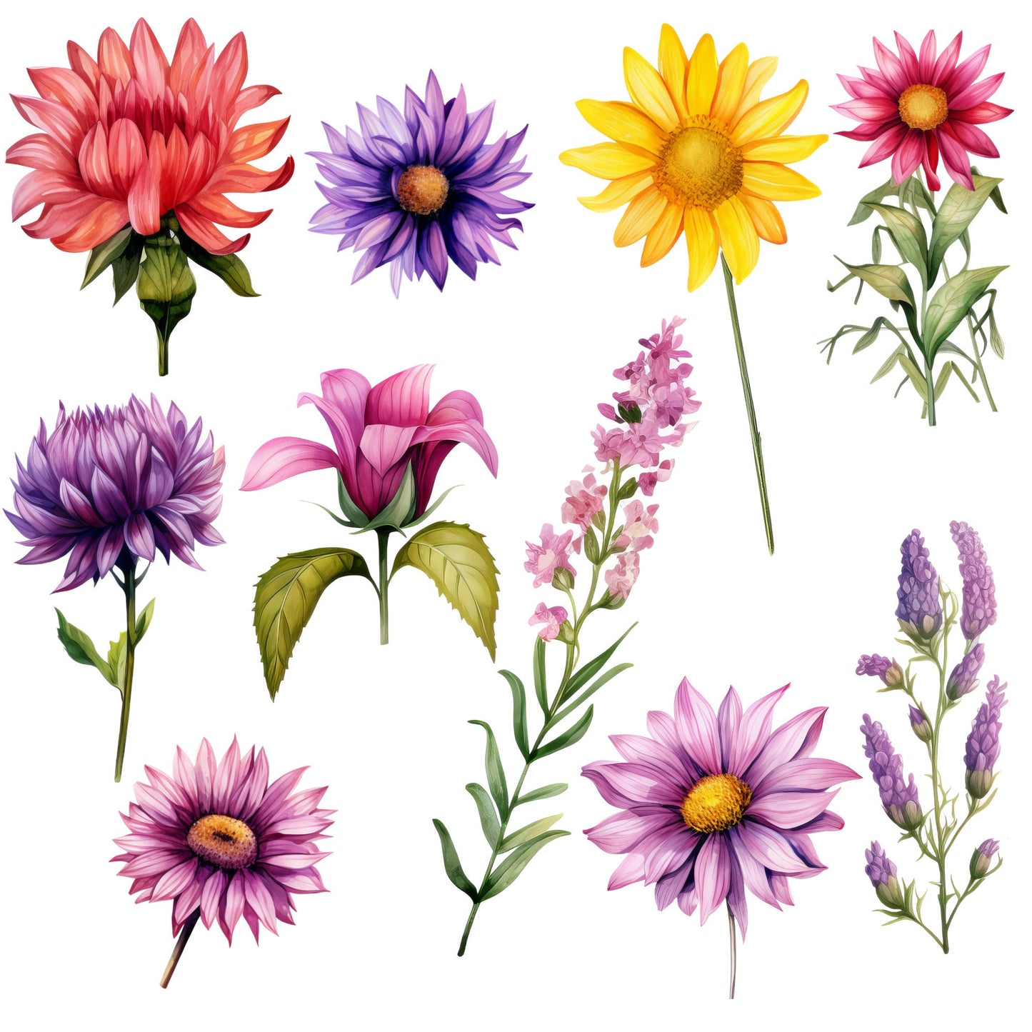 Clipart floral de verano en acuarela