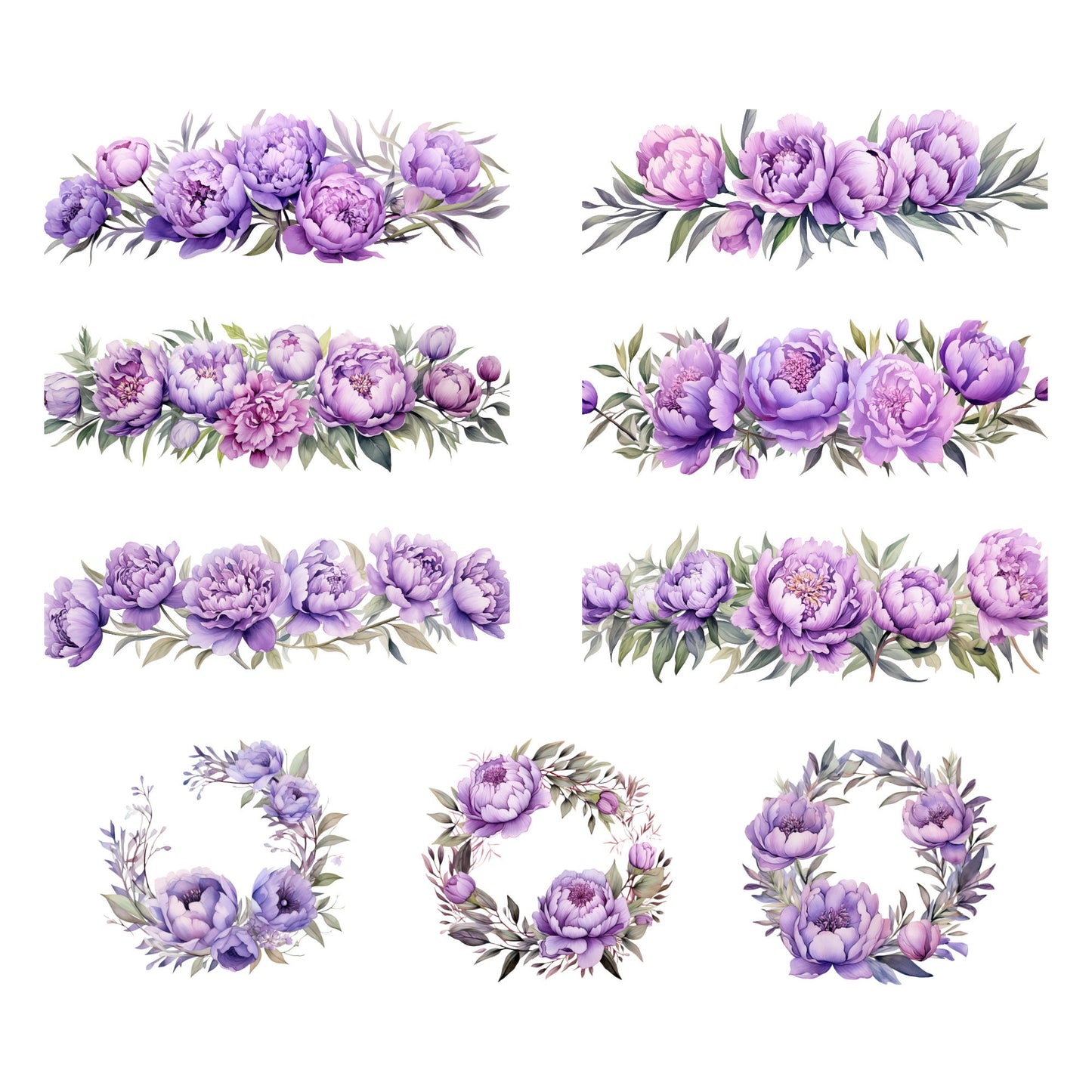 Clipart de peonía de lavanda en acuarela