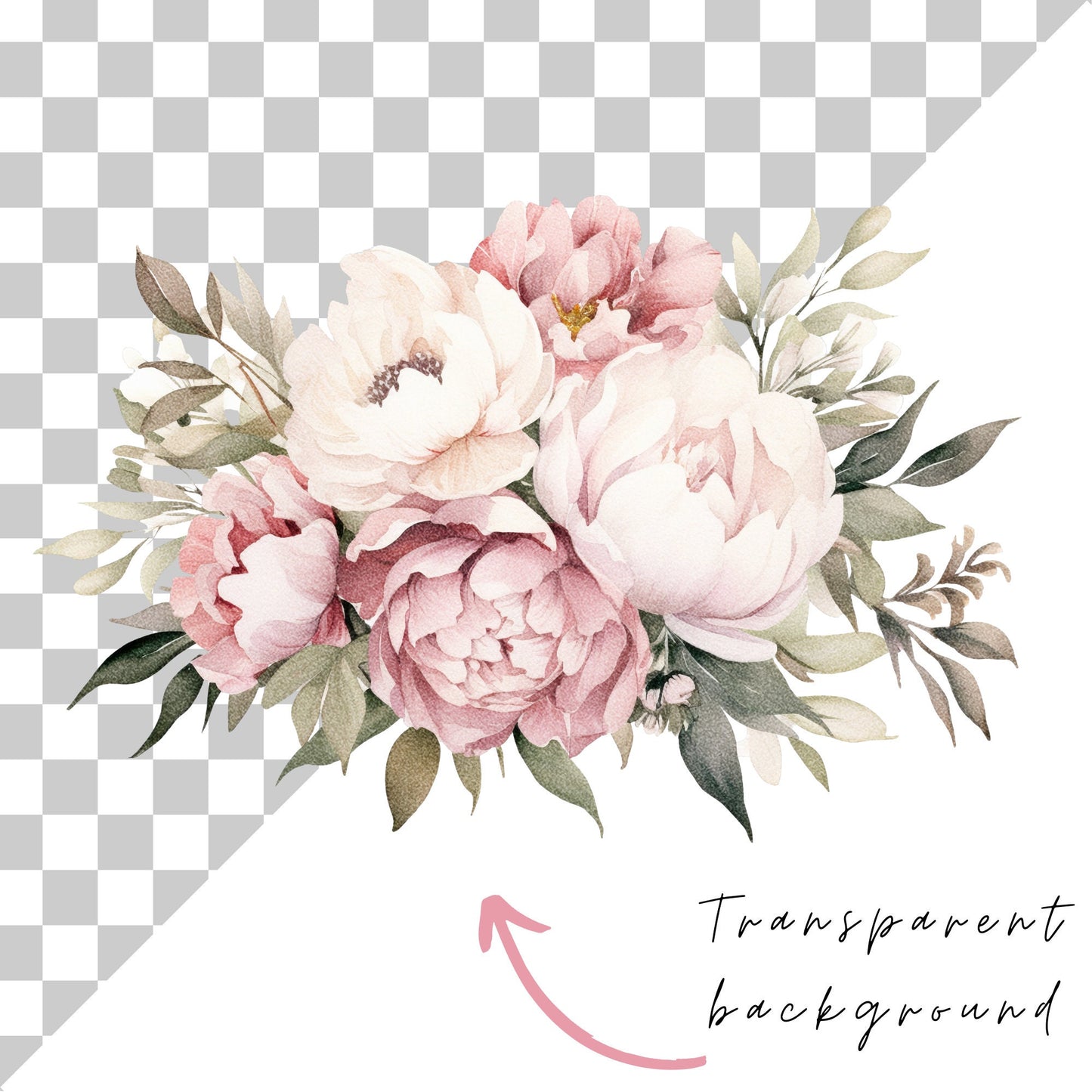 Clipart floral de peonía rosa suave en acuarela