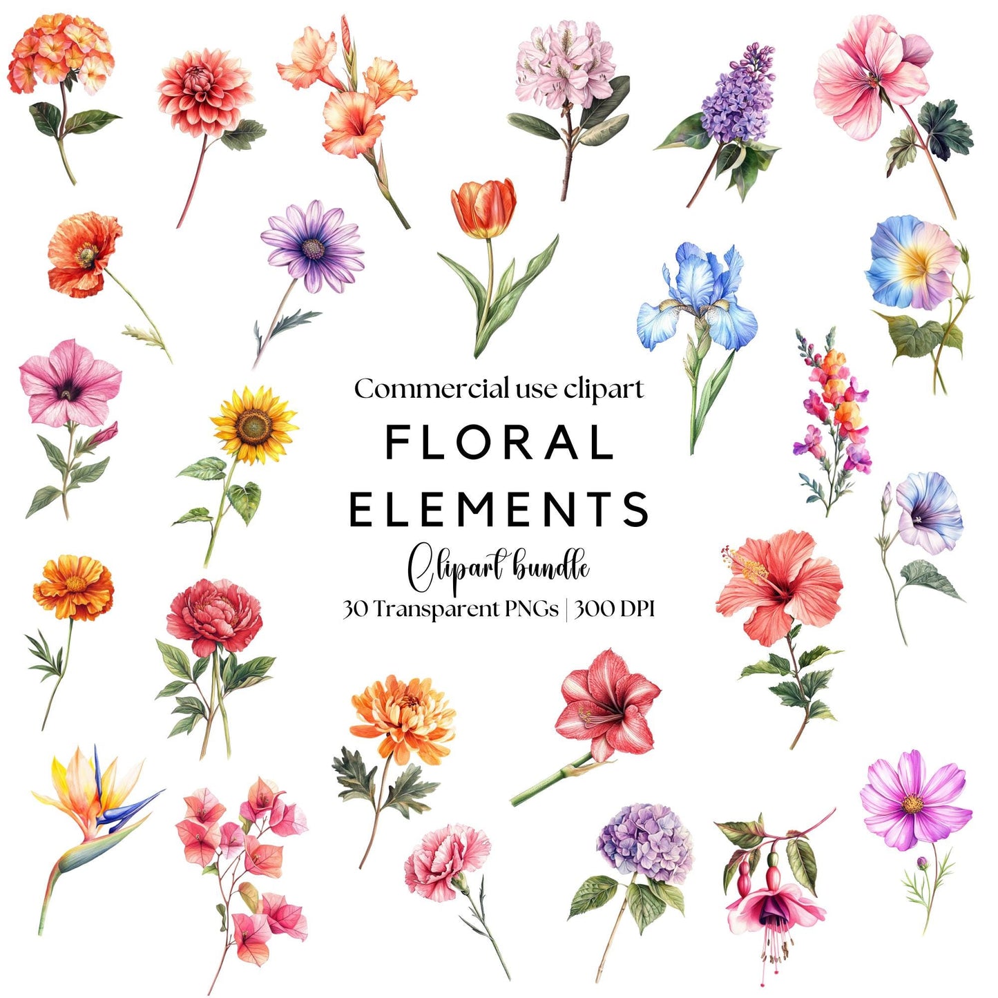 Clipart de elementos florales de acuarela