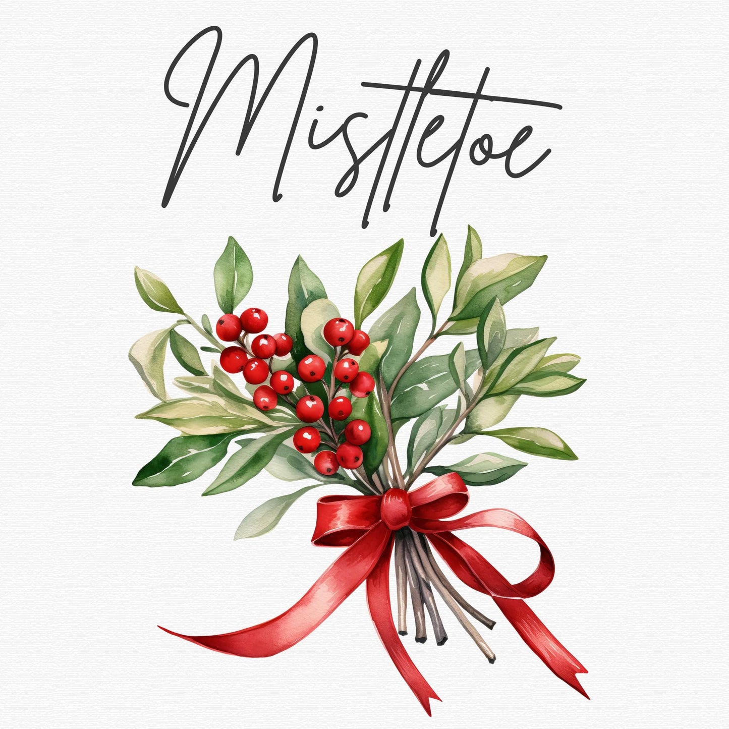 Watercolor Christmas Mistletoe Clipart Single