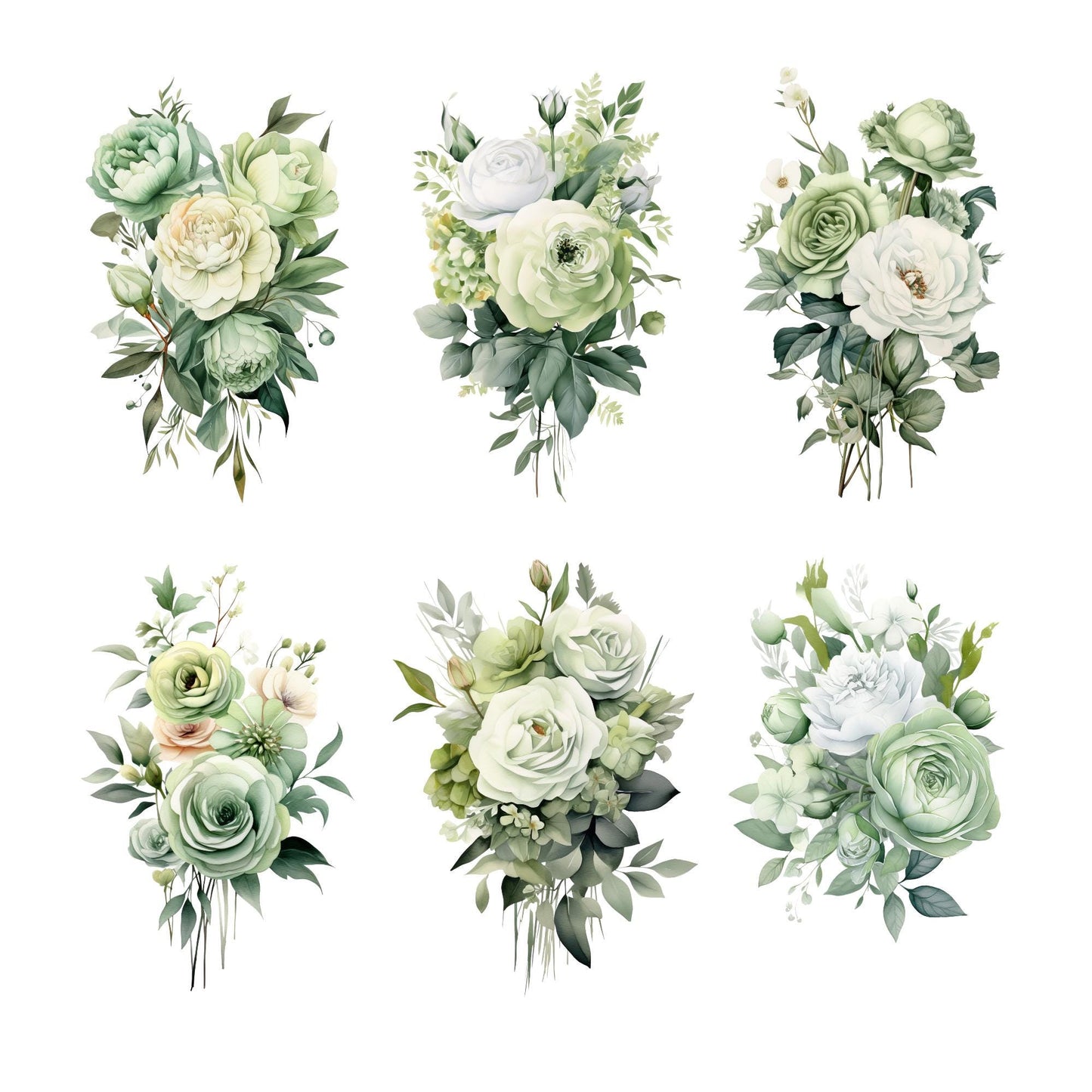 Clipart floral verde salvia