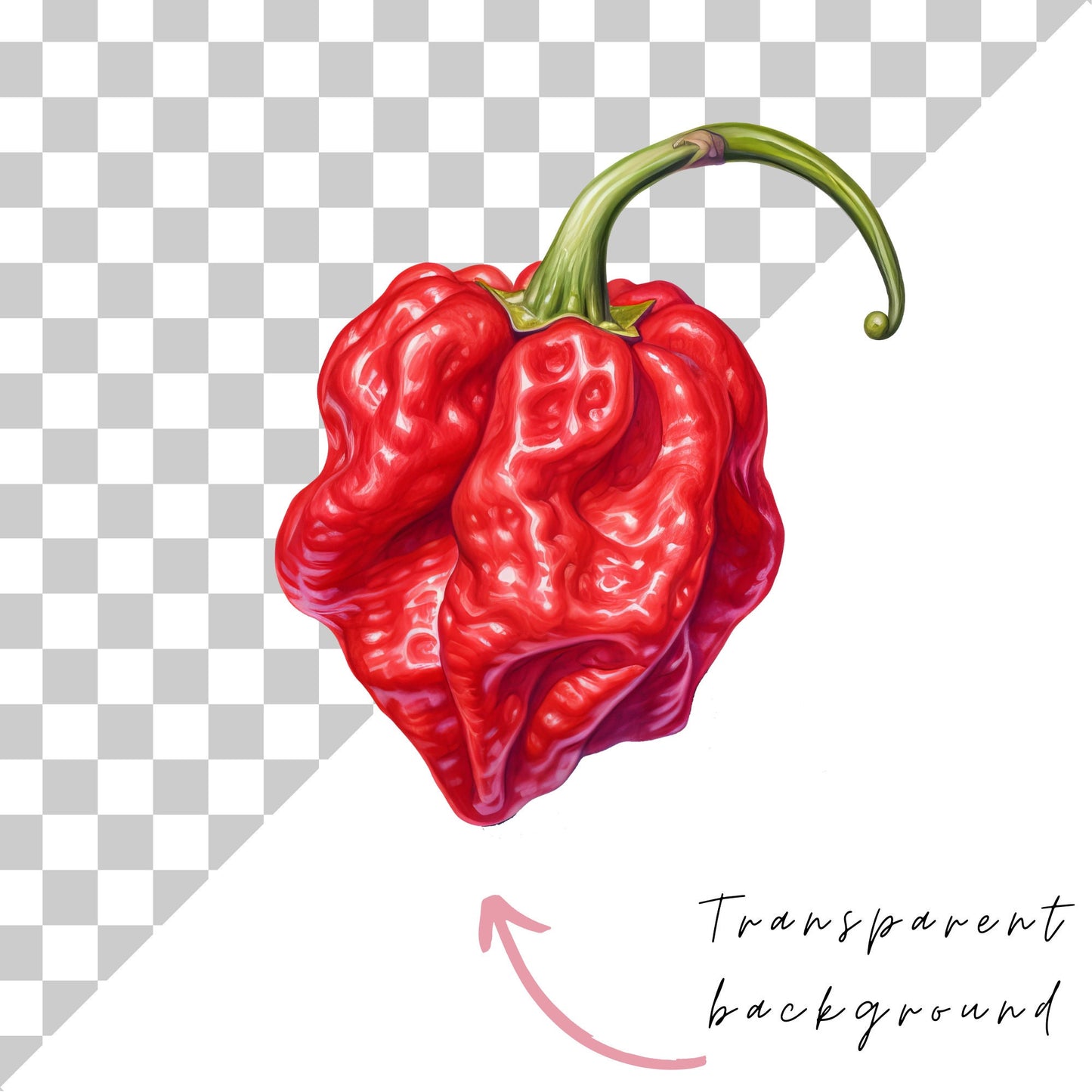 Watercolor Spicy Pepper Clipart
