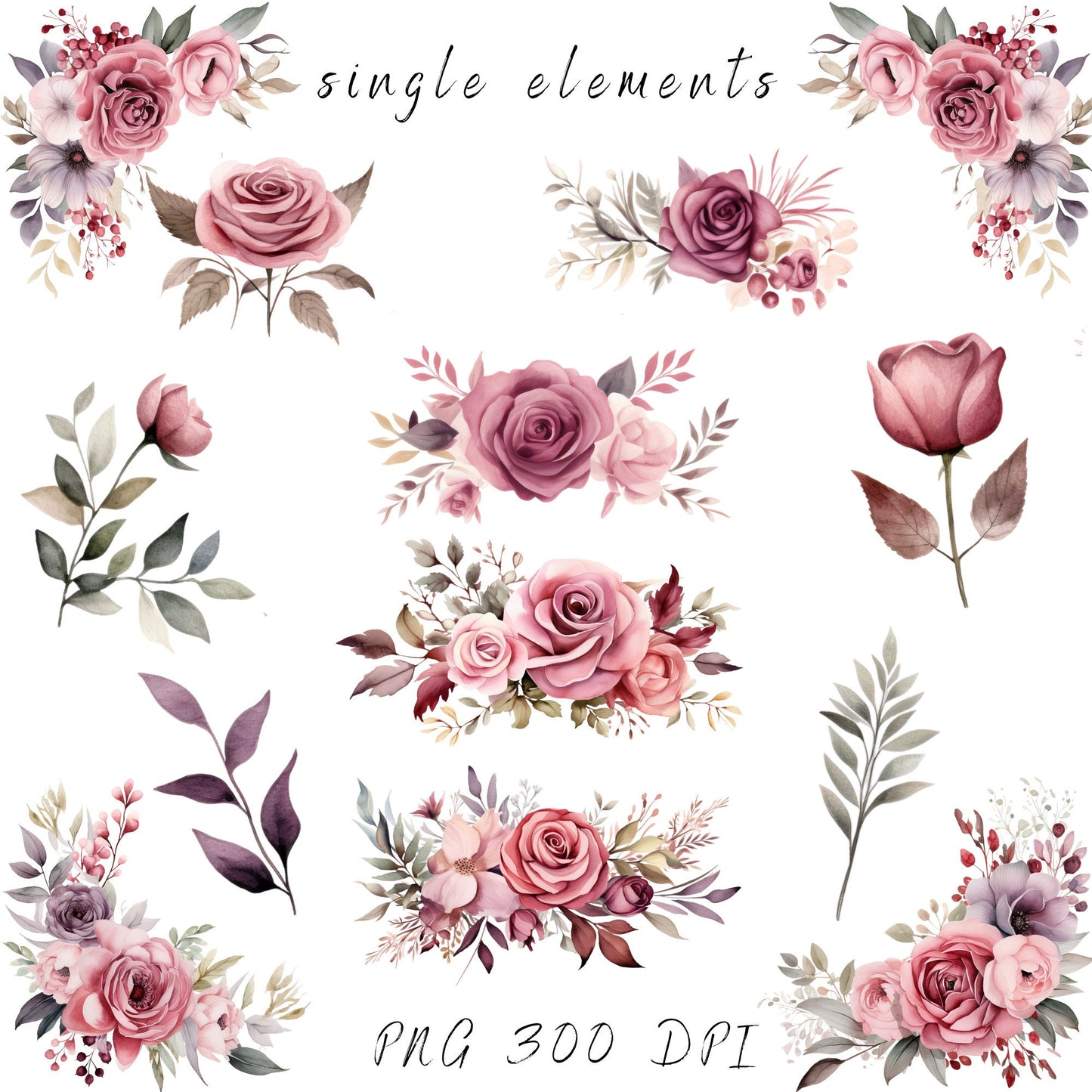 Pink Dusty Rose Clipart