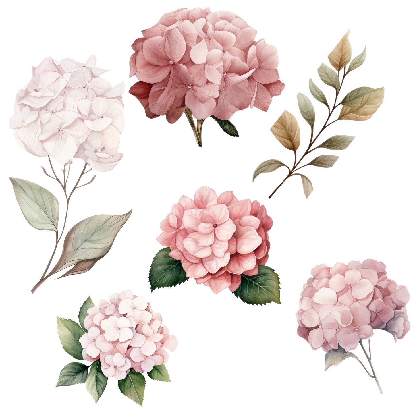 Watercolor Dusty Pink Hydrangea and Rose Floral Clipart