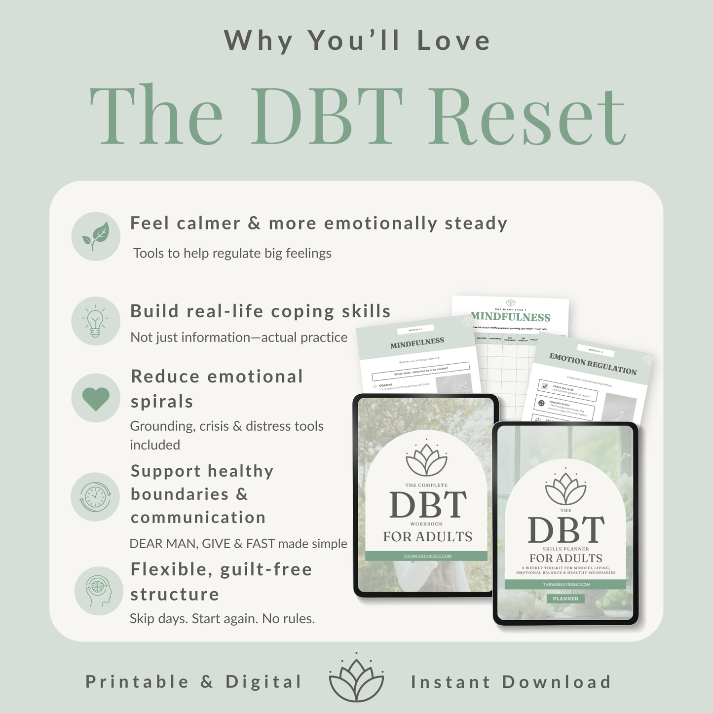 The DBT Reset