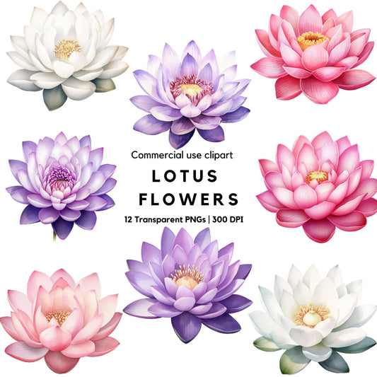 Clipart de flor de loto en acuarela