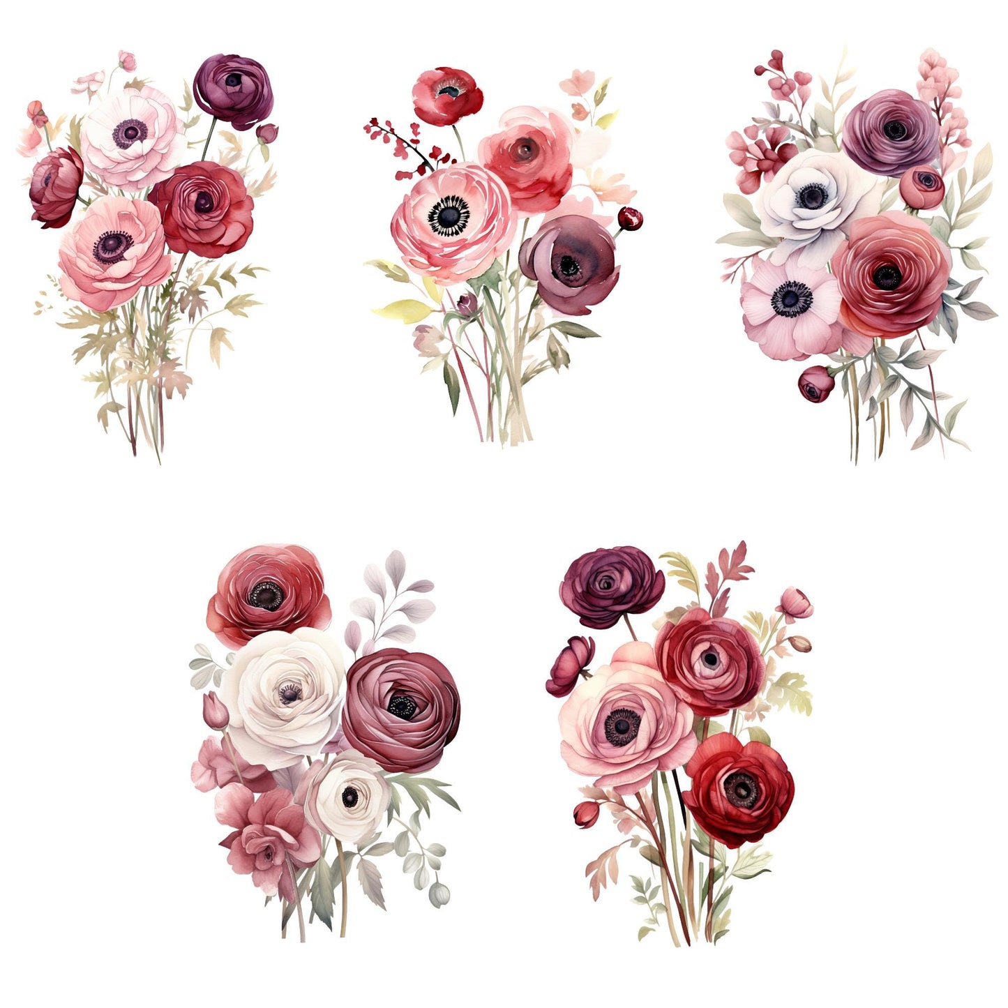 Clipart floral de ranúnculos rojos y ruborizados