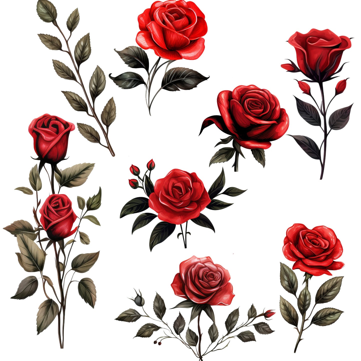 Watercolor Red and Black Floral Clipart