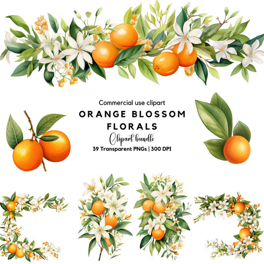 Orange Blossom Floral Clipart