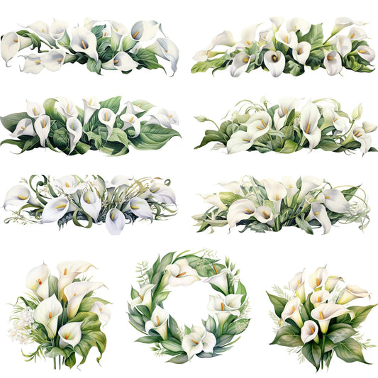 Clipart de lirio de cala blanco en acuarela