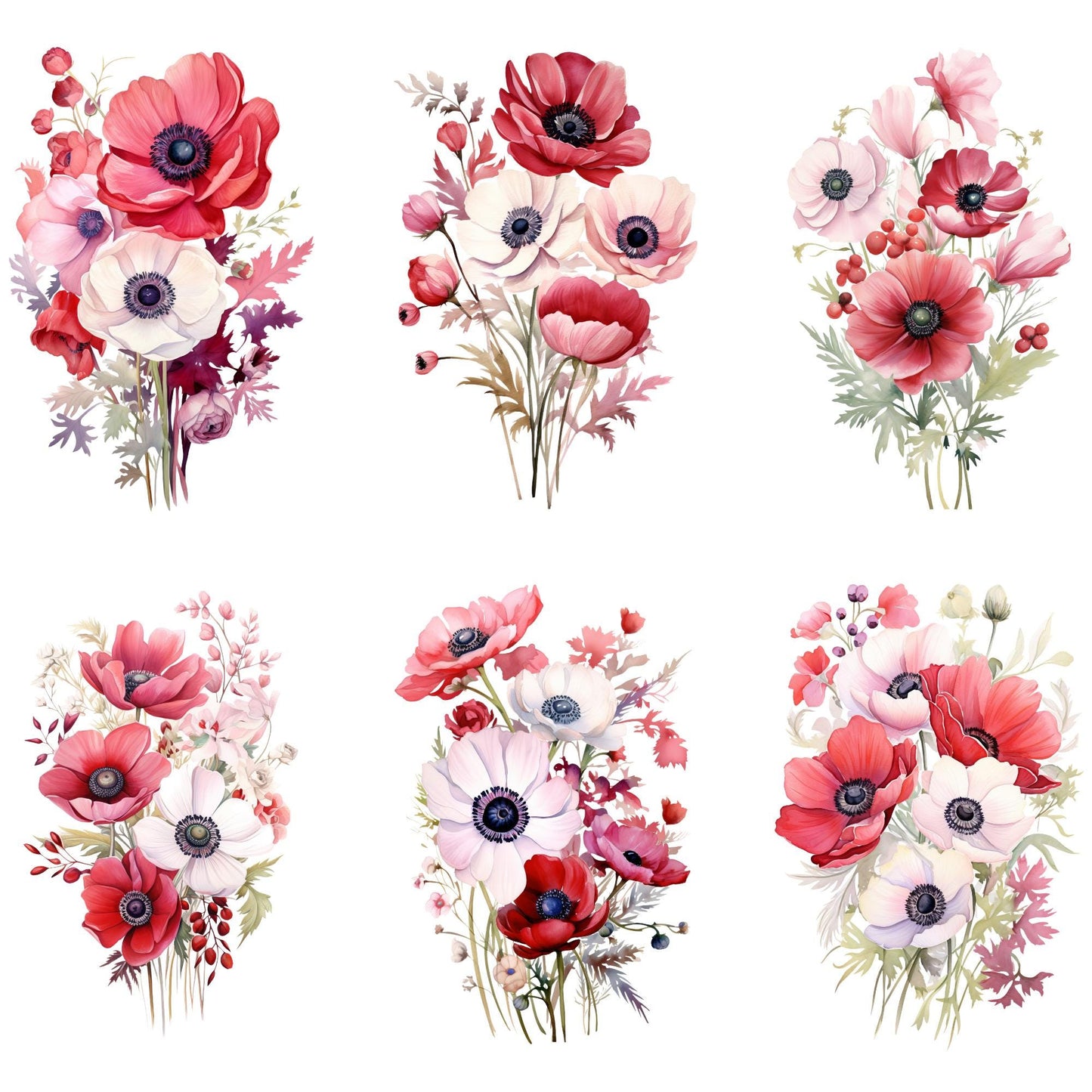 Clipart de anémona roja y rosa