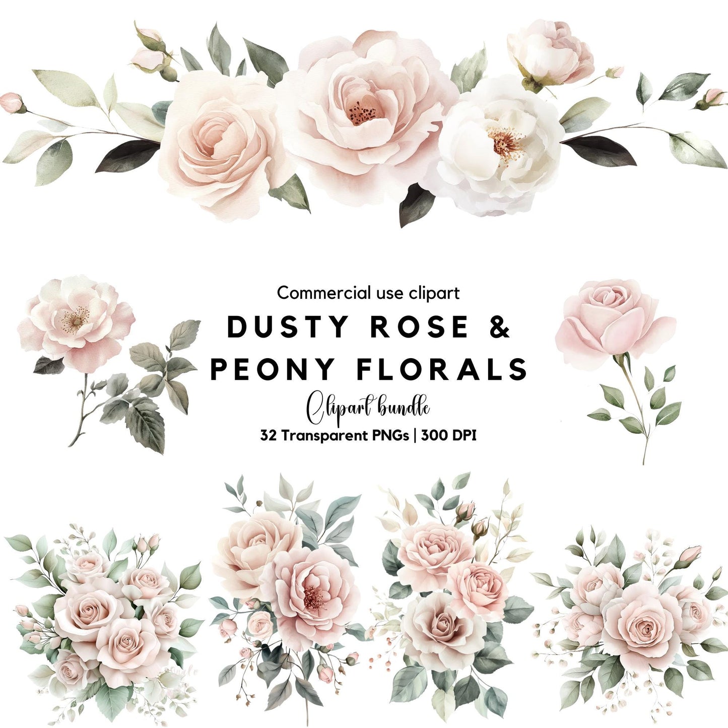 Clipart de rosa y peonía rosa polvorienta