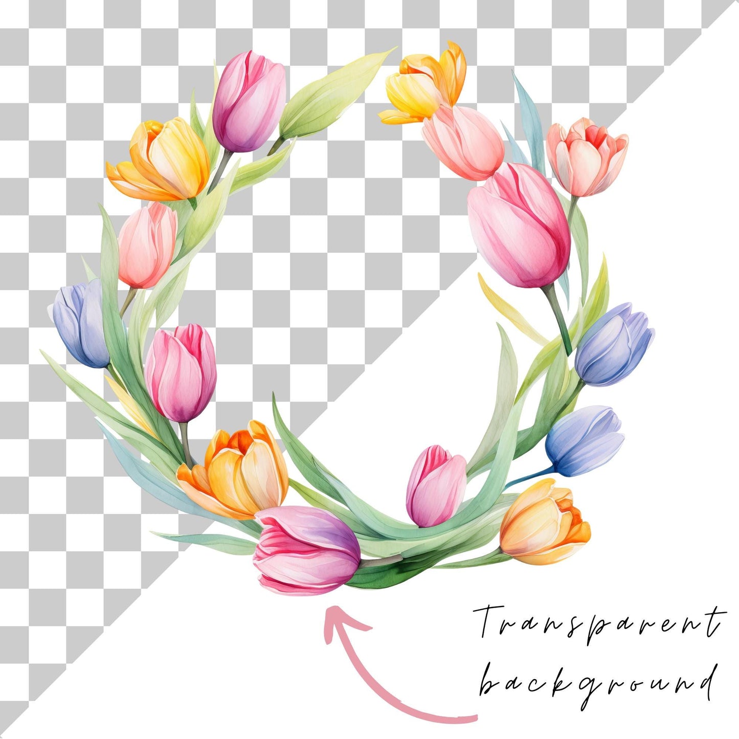 Clipart floral de tulipán en acuarela
