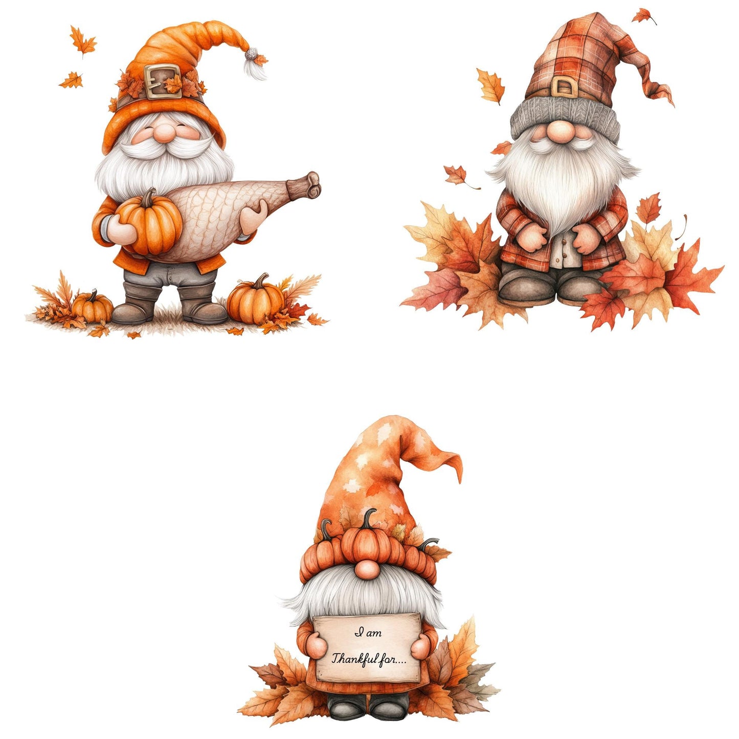 Thanksgiving Gnome Clipart