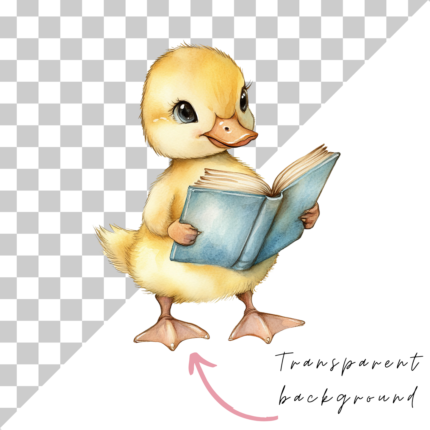 A New Chapter Baby Shower Clipart PNG | Watercolor Book Theme