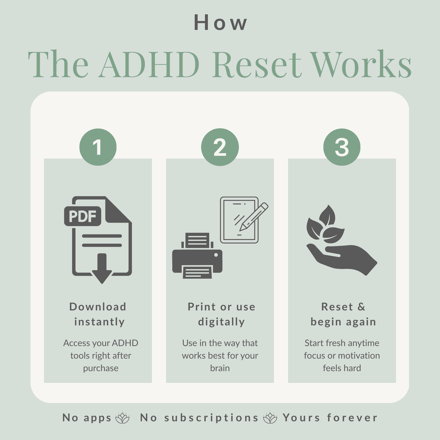 The ADHD Reset