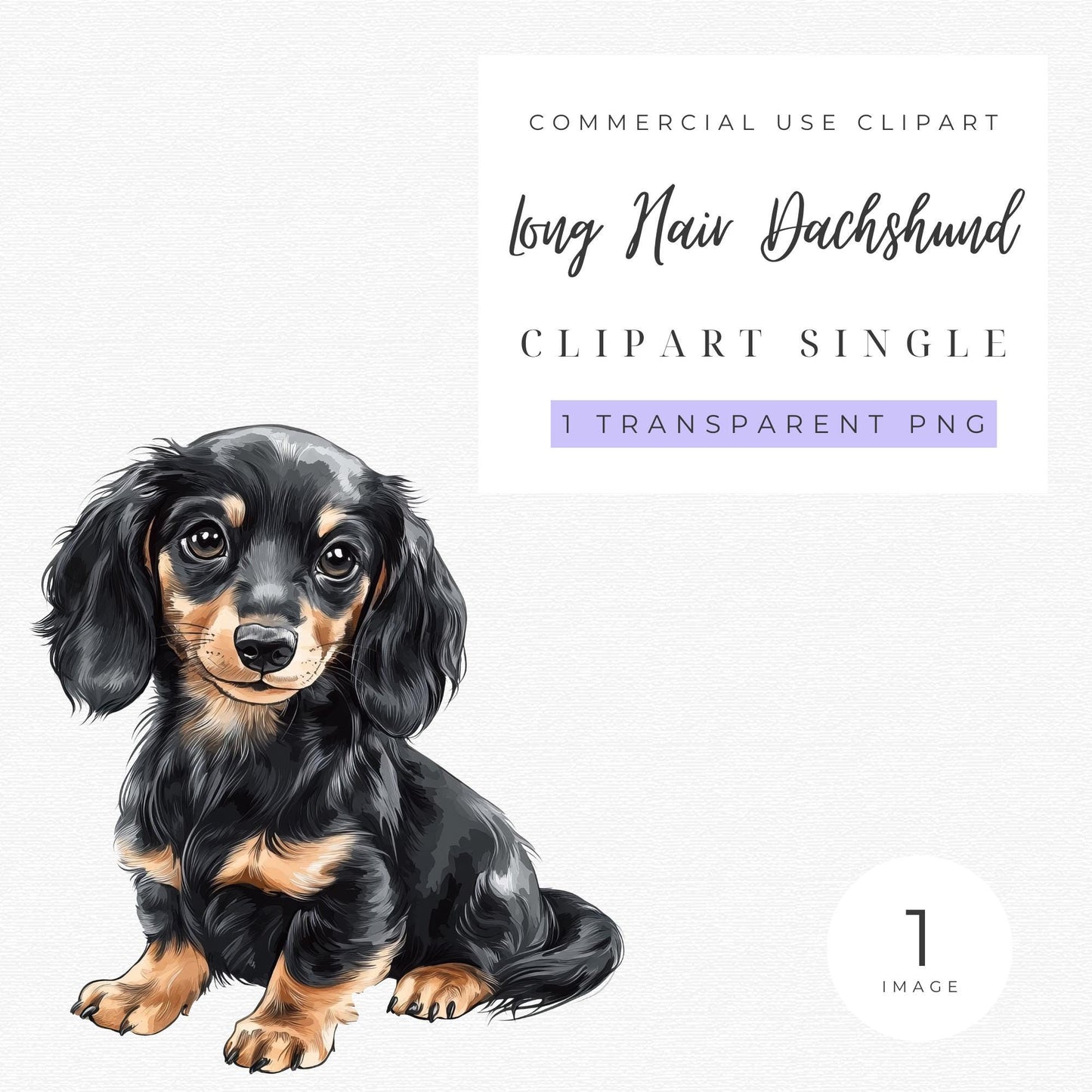 Long Hair Dachshund Clipart