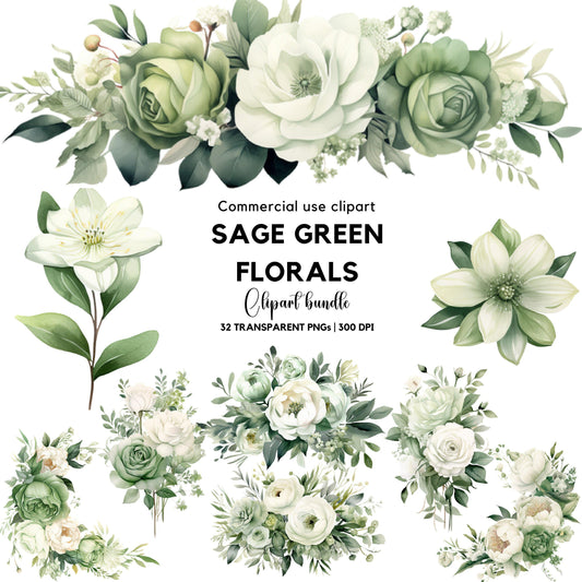 Clipart floral verde salvia en acuarela