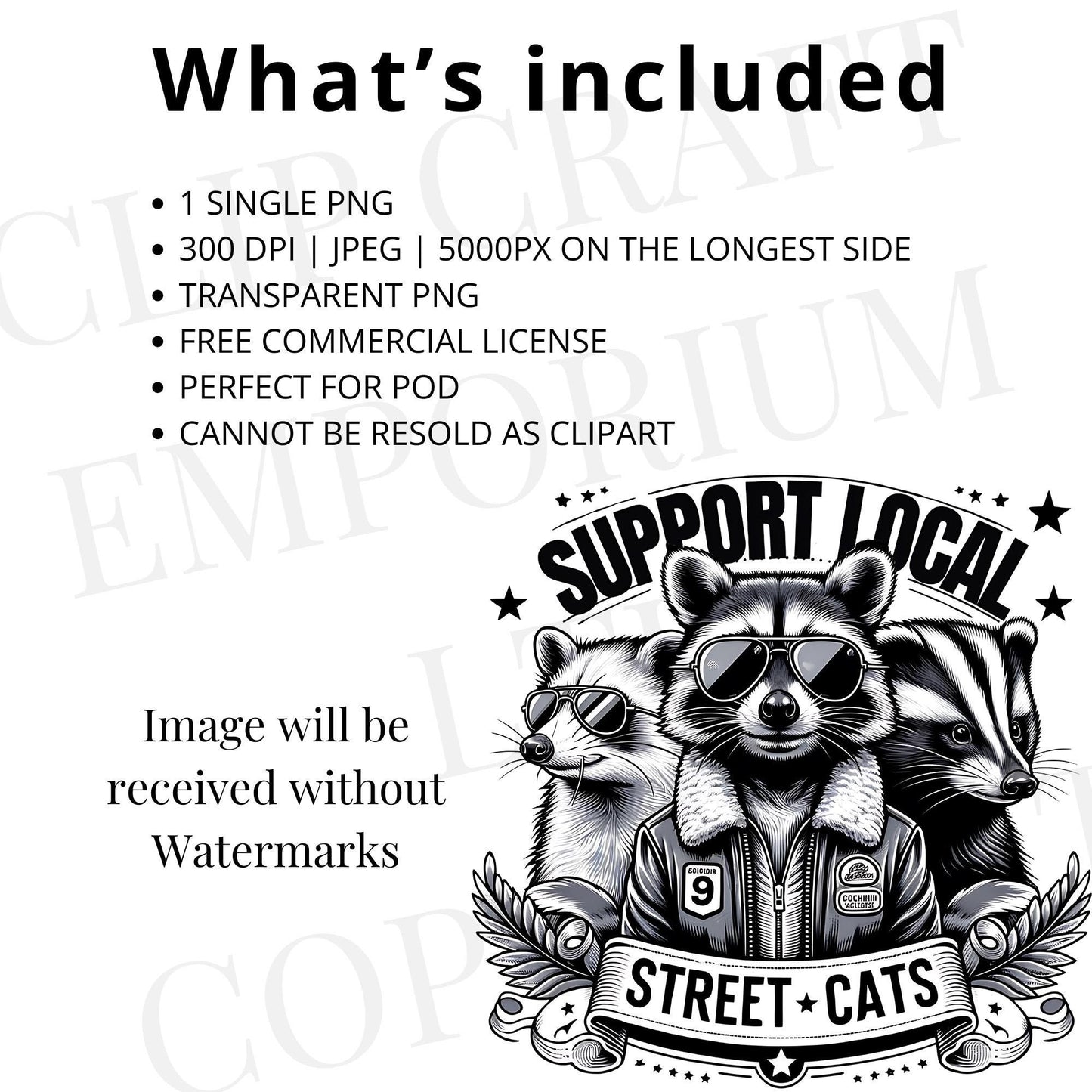 Support Your Local Street Cats PNG