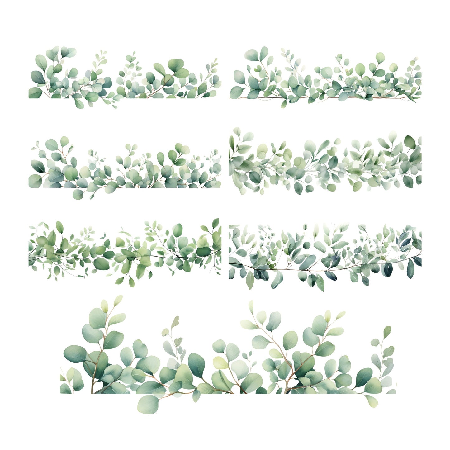 Clipart de hojas de eucalipto en acuarela